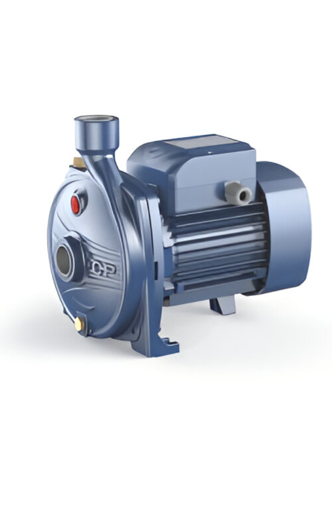 Untitled design (12) (1)